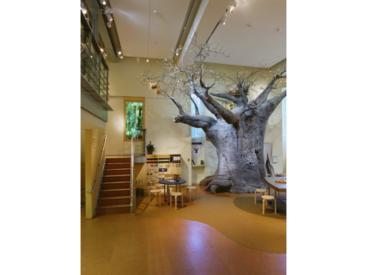 Discovery Center